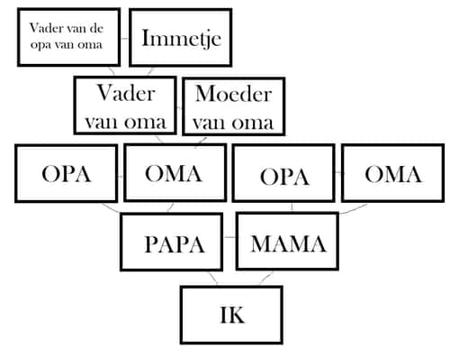 basis-stamboom-rosita-yolanda-lippens-yory De eerste opzet van mijn stamboom