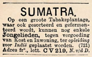 Verschillende berichten uit de oude kranten op Yory