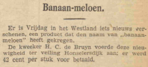 Berichten uit de oude kranten op Yory