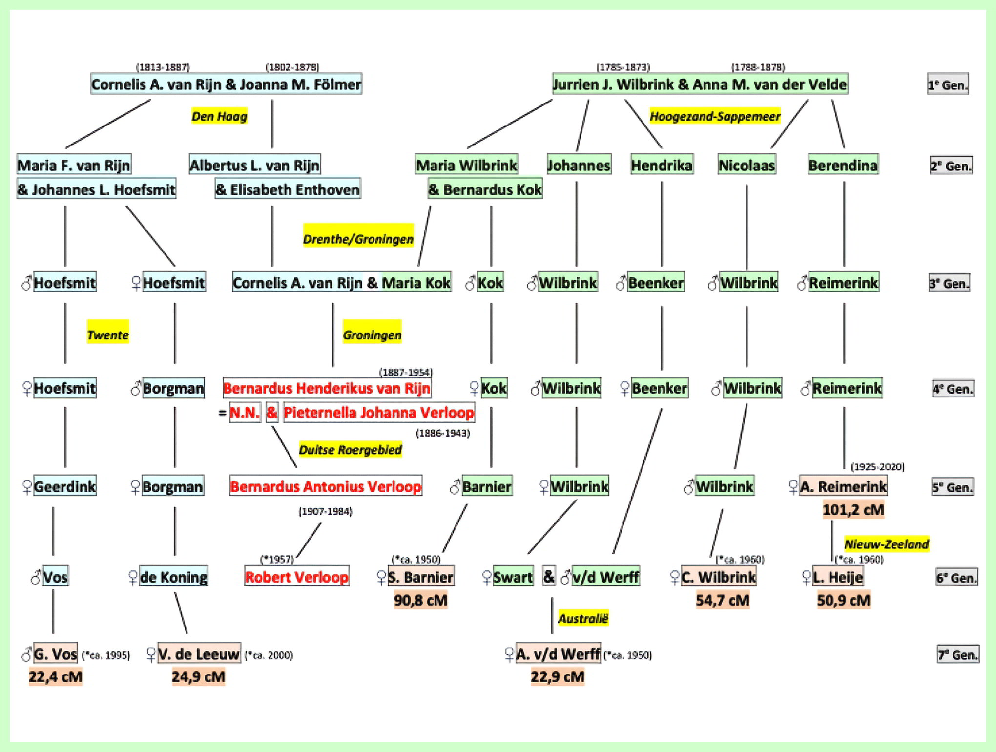 Genetische genealogie in de praktijk