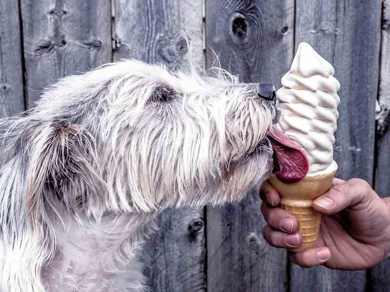 Stamboom aktes en documenten delen doe je zo!